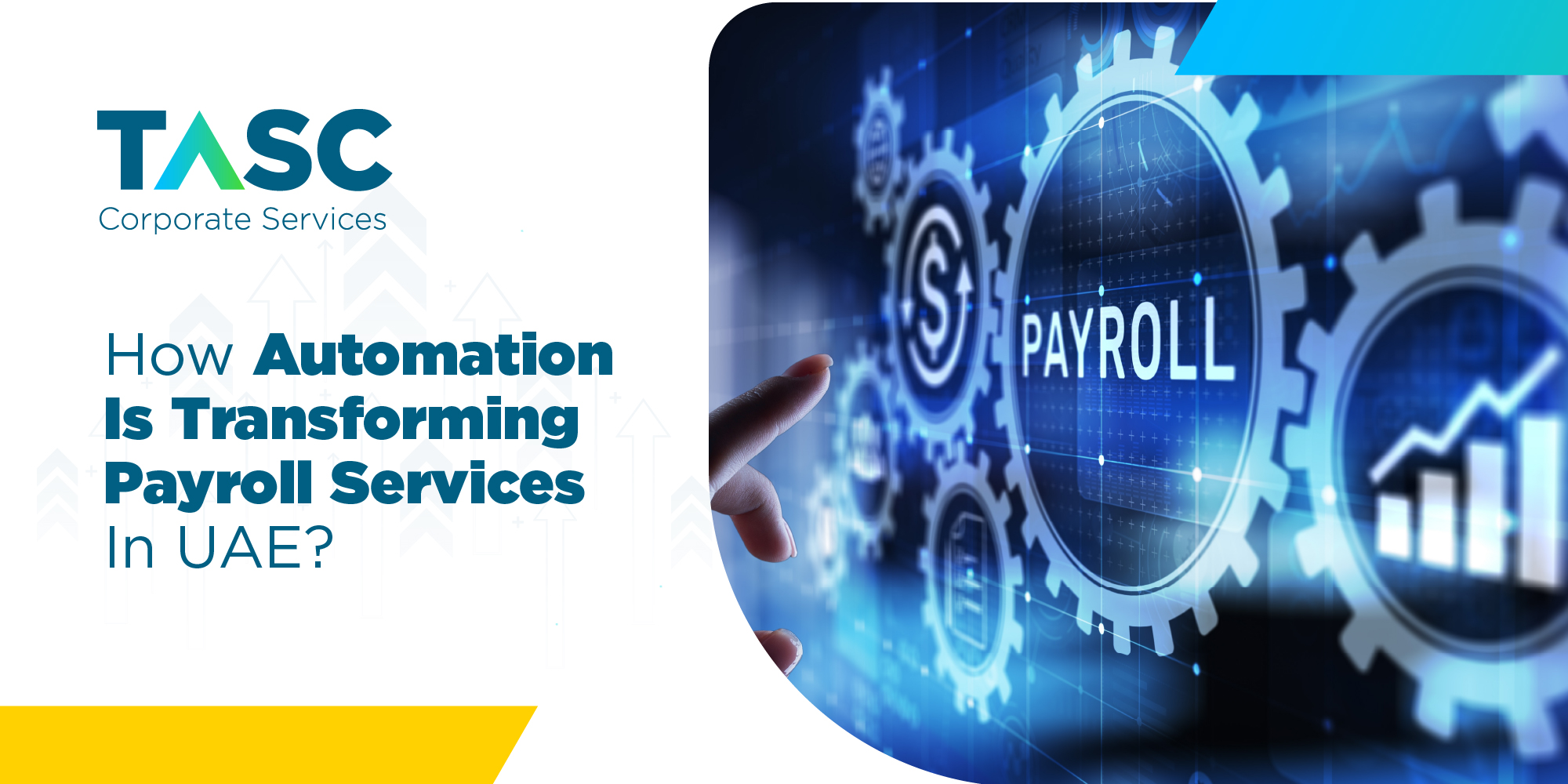 The Role Of Technology: How Automation Is Transforming Payroll Services In UAE